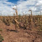  Clima, 2020 l’anno più caldo per l’Europa
