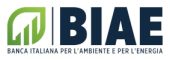 logo small biae